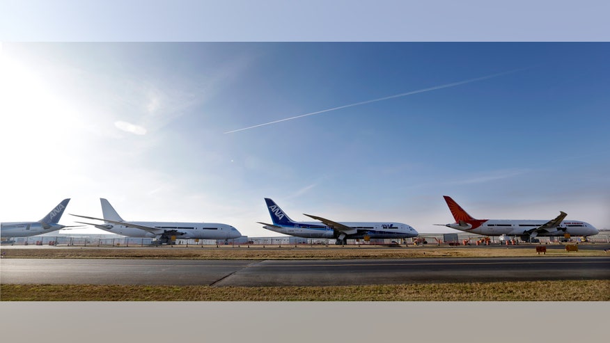 Boeing 787 Grounded_Angu.jpg